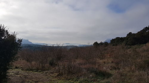 Scenic view of landscape against sky