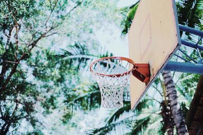 Low angle view of trees against sky