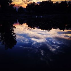 Silhouette of trees at sunset