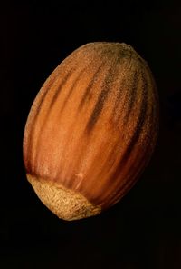 Close-up of bread against black background