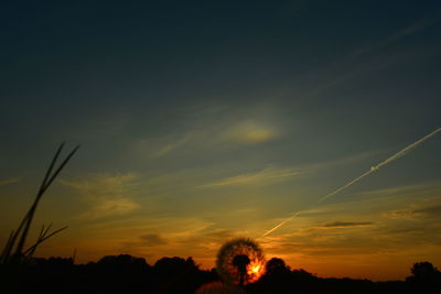 Low angle view of silhouette trees against sky during sunset