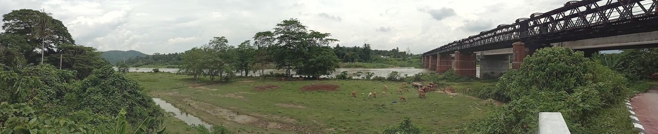 PANORAMIC SHOT OF TREES AND HOUSES AGAINST SKY