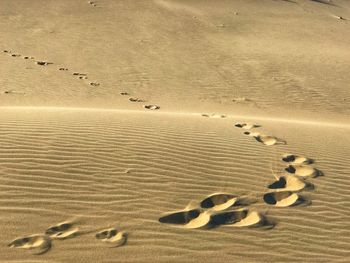 High angle view of footprints on sand