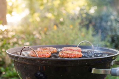 Close-up of meat on barbecue grill in yard