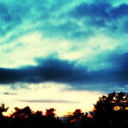 Silhouette of trees against cloudy sky