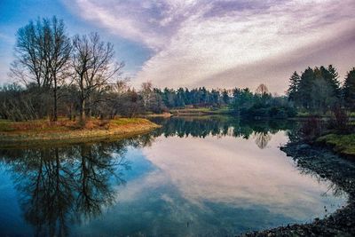 Reflection of trees in calm lake