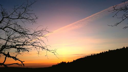 Silhouette trees against sky during sunset