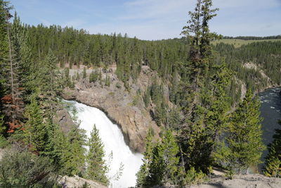 Scenic view of waterfall in forest against sky