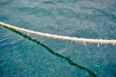 High angle view of sea shore