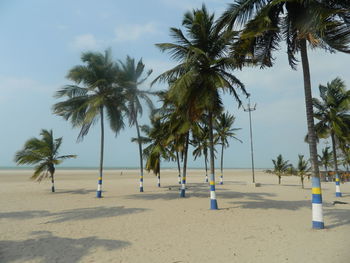 Palm trees on beach against sky