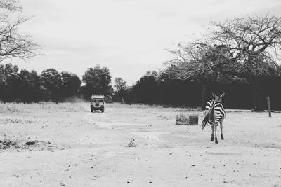 Man standing on field by road against sky
