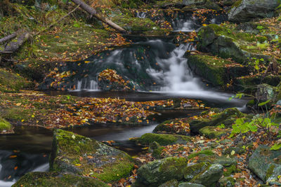 View of waterfall in forest