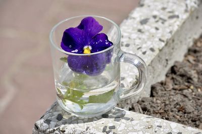 Close-up of drink on glass