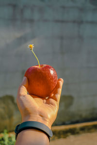 Close-up of hand holding strawberry