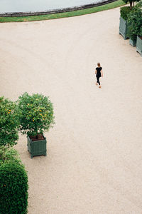 High angle view of man walking on sand