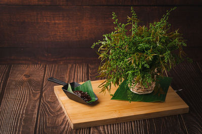 Close-up of potted plant on table