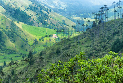 Scenic view of agricultural field by mountains against sky