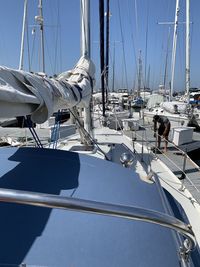 Sailboats in marina