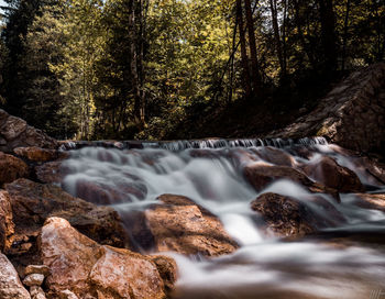 Scenic view of waterfall in forest