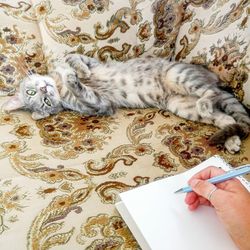 High angle view of cat lying on floor