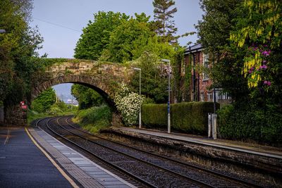 Bridge over railroad tracks against trees