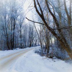 Scenic view of snow covered landscape