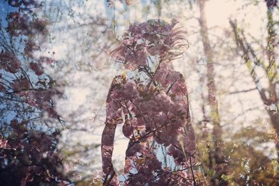 Flower tree against blurred background