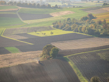 High angle view of agricultural field