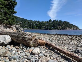 Scenic view of rocks on shore against sky