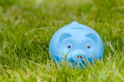 Close-up of blue toy on field