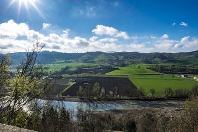 Scenic view of agricultural field against sky