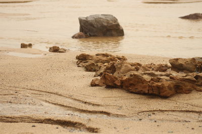 Close-up of rocks on beach against sky