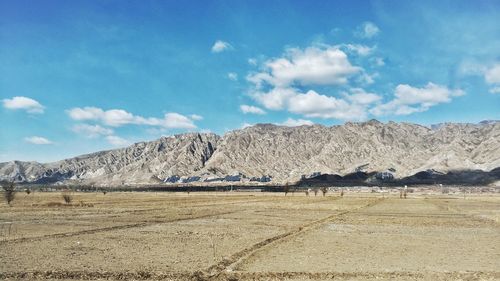 Scenic view of field against sky