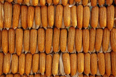 Full frame shot of corn for sale in market