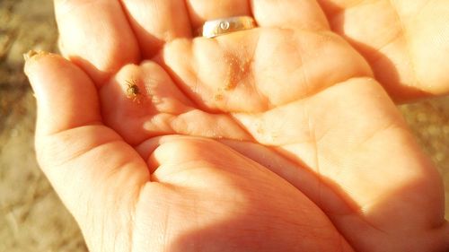 Close-up of man holding hands