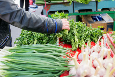 Cropped image of person buying vegetables at market