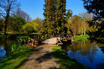 Scenic view of river in forest against clear sky