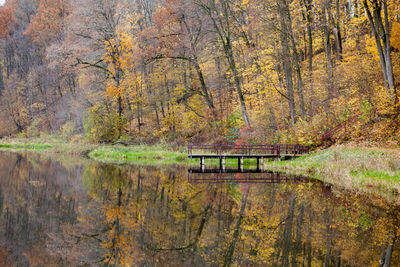 Scenic view of lake in forest during autumn