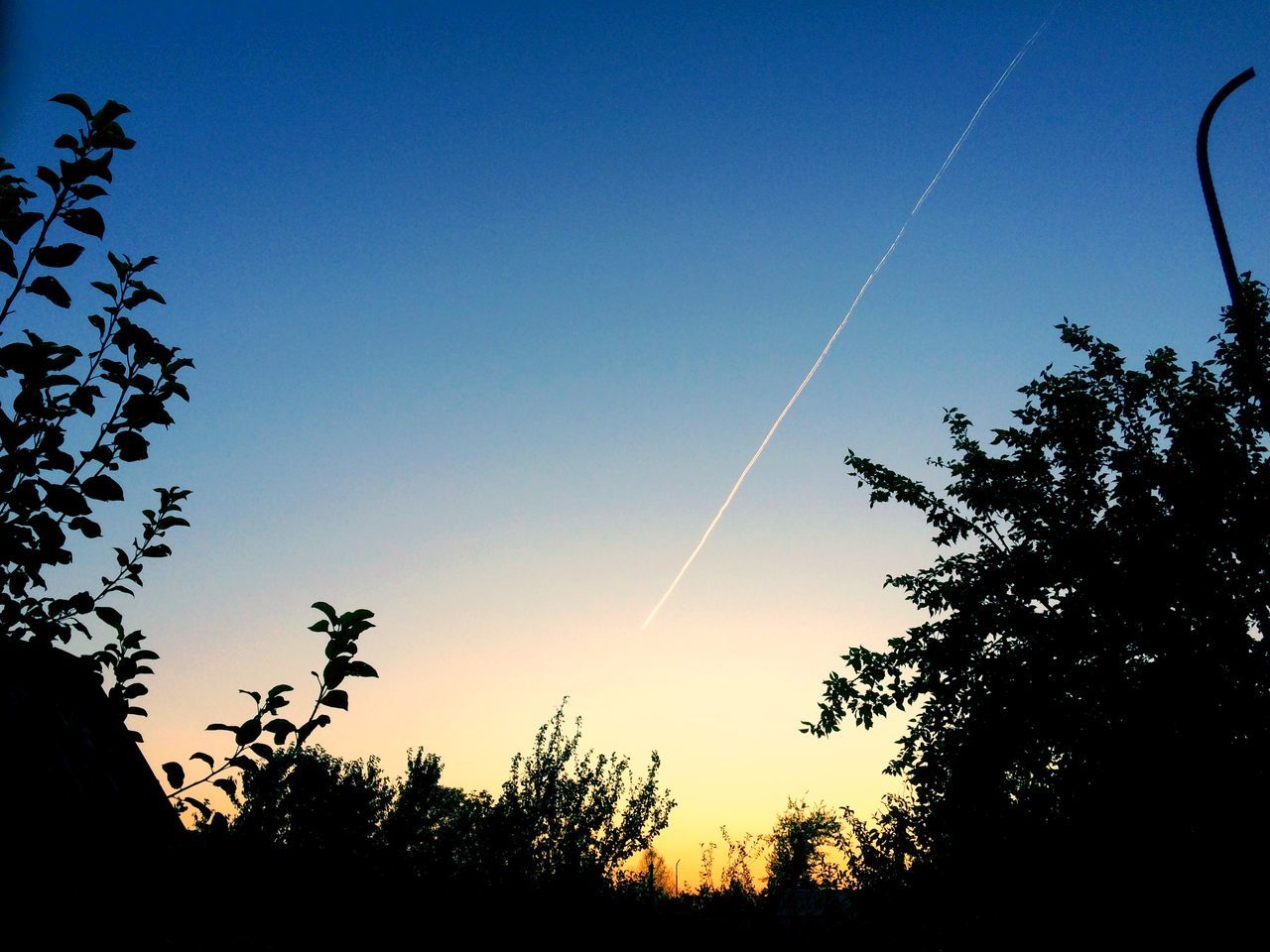 sky, tree, plant, silhouette, tranquility, vapor trail, beauty in nature, blue, low angle view, nature, sunset, tranquil scene, scenics - nature, growth, no people, cloud - sky, outdoors, copy space, non-urban scene