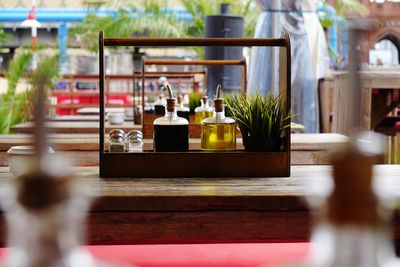 Potted plant on table at restaurant