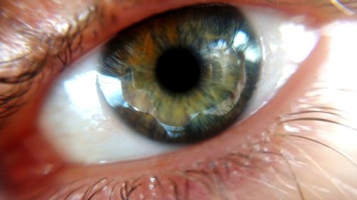 Close-up portrait of human eye