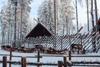 Built structure on snow covered land