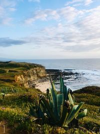 Scenic view of sea against sky