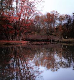 reflection