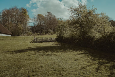 Trees on field against sky