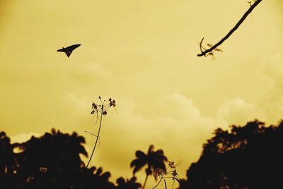 Close-up of silhouette bird flying against sky