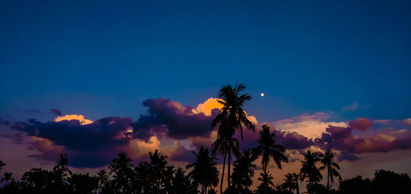 Low angle view of silhouette trees against sky during sunset