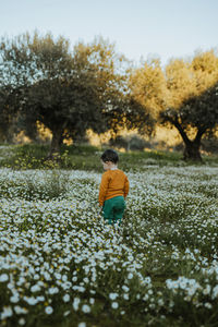 Boy standing amidst flower field