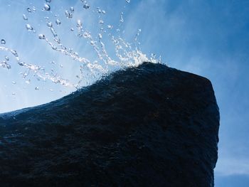 Low angle view of animal on rock against sky