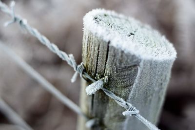 Close-up of rope tied on snow